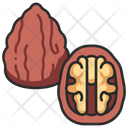 Food Walnut Kernel Icon