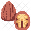 Food Walnut Kernel Icon