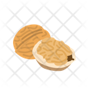 Walnut Icon