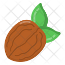 Walnut Icon