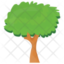 Walnut Tree Icon