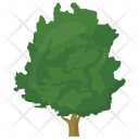 Walnut Shrub Greenery Icon