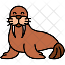 Walrus Carnivore Seal Icon