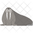Walrus Icon