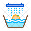 Wash Apple  Icon