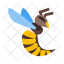 Wasp Insect Bee Icon