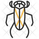 Water  Icon
