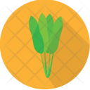 Water Hyacinth Vegetable Icon