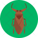 Water Bug Bug Insect Icon