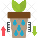 Water Level In Plant Icon