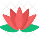 Water Lily Icon