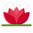 Water Lily Egyptian Bean Flower Icon