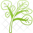 Watercress Veggie Leaf Icon