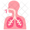 Lungs Breathe Air Icon
