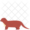 Weasel  Icon