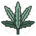 Weed  Icon
