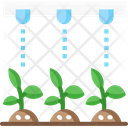 Weed Control Icon