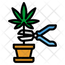 Weed Harvest Healthcar Icon