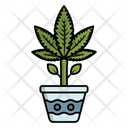 Weed Plant  Icon