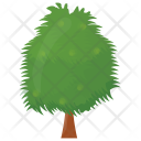 Weeping Willow Tree Icon
