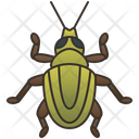 Weevil Icon