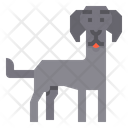 Weimaraner Dog Animal Icon