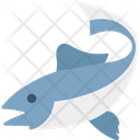 Whale Wildlife Ocean Icon