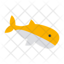 Whale  Icon