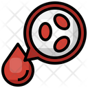 White Blood Cell Icon