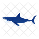 White Shark Icon