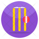 Wicket Icon
