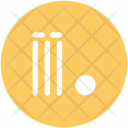 Wicket Ball Cricket Icon