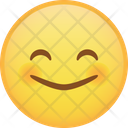 Wide smile Icon