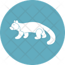 Wildcat Badger Carnivores Icon