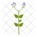 Wildflowers- Icon