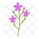 Wildflowers Flowers Plant Icon