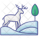 Wildlife  Icon