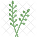 Willow Easter Day Icon