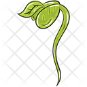 Wilting  Icon