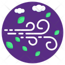 Windy Weather  Icon