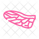 Wing Bird Feather Feather Icon