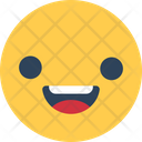 Winking Face Blink Smiley Feel Icon