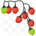 Winter Berries Berries Berry Fruits Icon