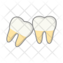 Wisdom Tooth Icon