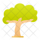 Wise Tree Icon