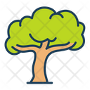 Wise Tree Icon