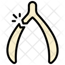 Wishbone Icon
