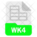 Wk4 file Icon