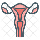 Womb Female Uterus Icon
