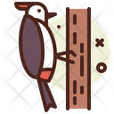 Woodpecker Icon